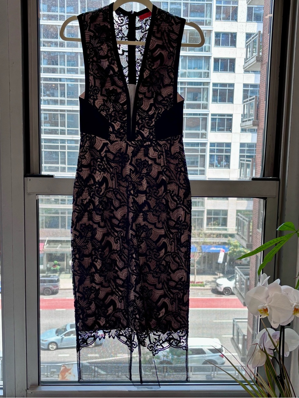 Manning Cartell Black Lace with Nude Mesh Lining